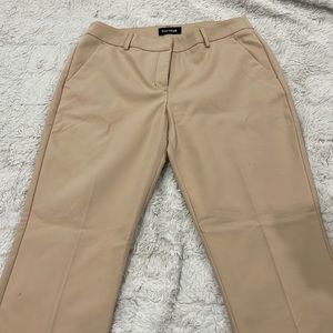 Express Dress Pants